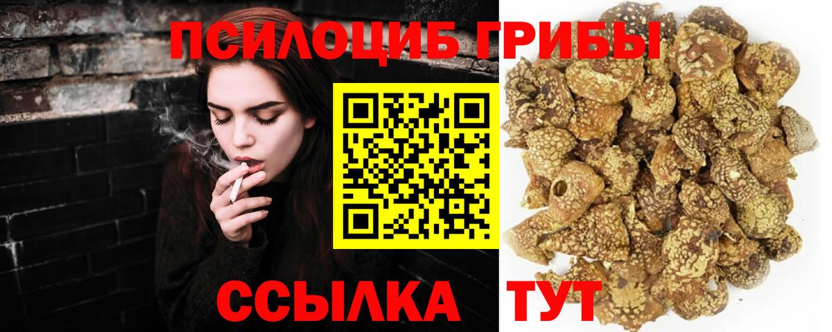 Псилоцибиновые грибы Psilocybe  Псилоцибиновые грибы Psilocybine cubensis  Чайковский  Вход с VPN 